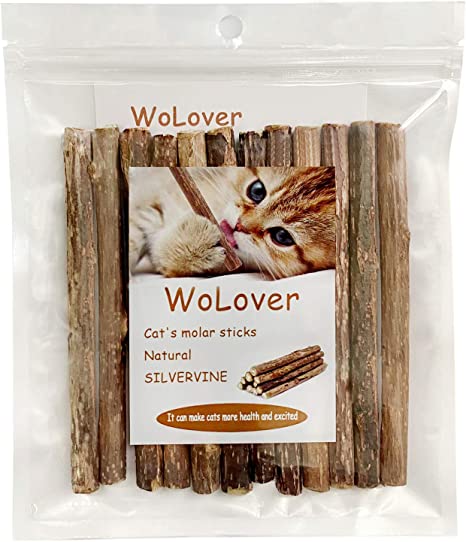 silvervine for cats