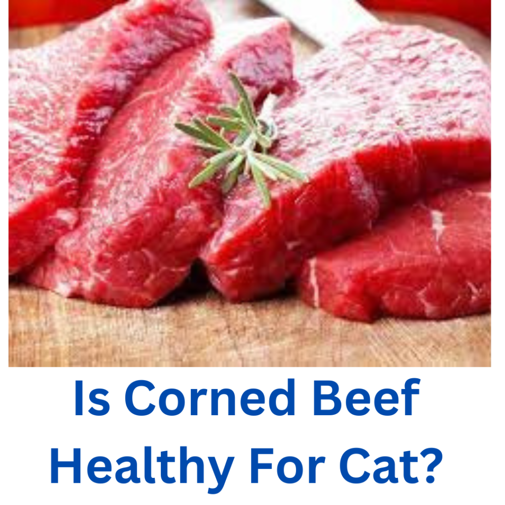 Can Cat Eat Corned Beef