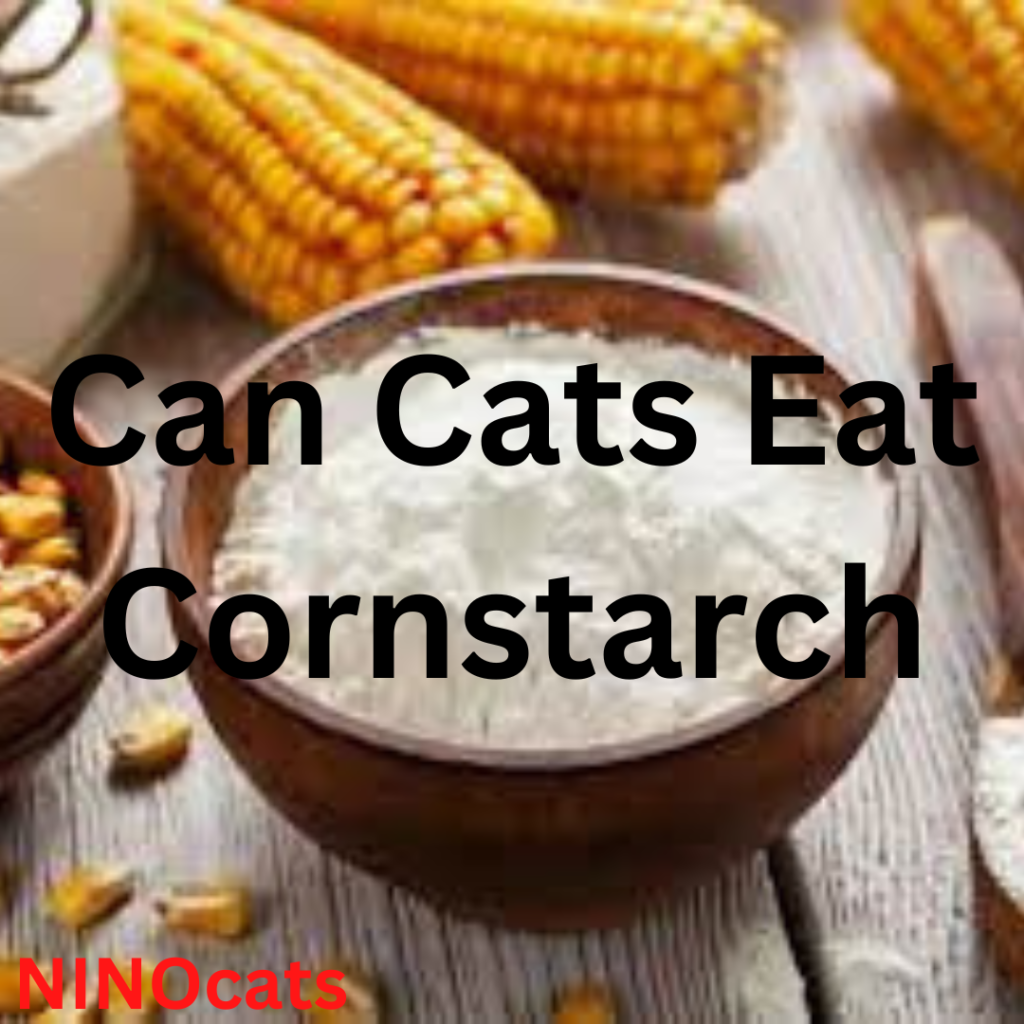 is cornstarch safe for cats
