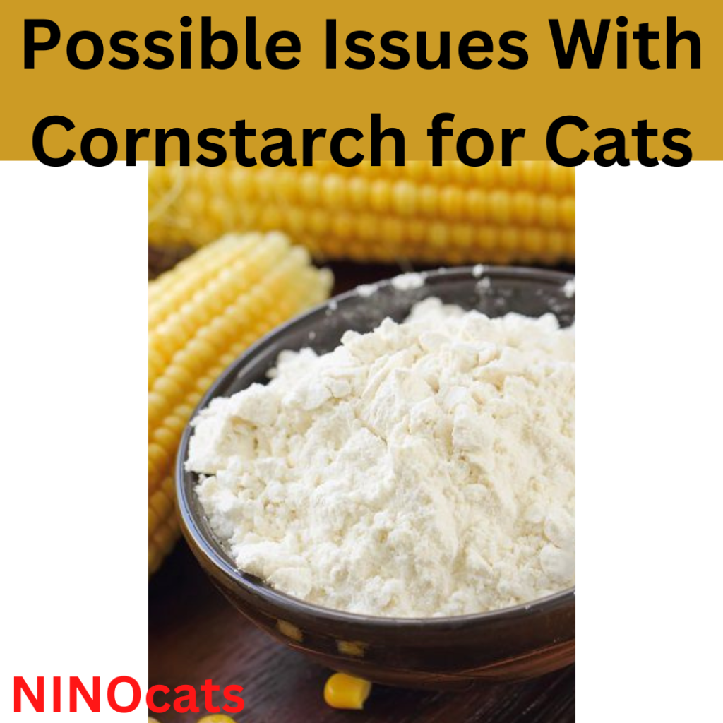 Possible Issues With Cornstarch for Cats