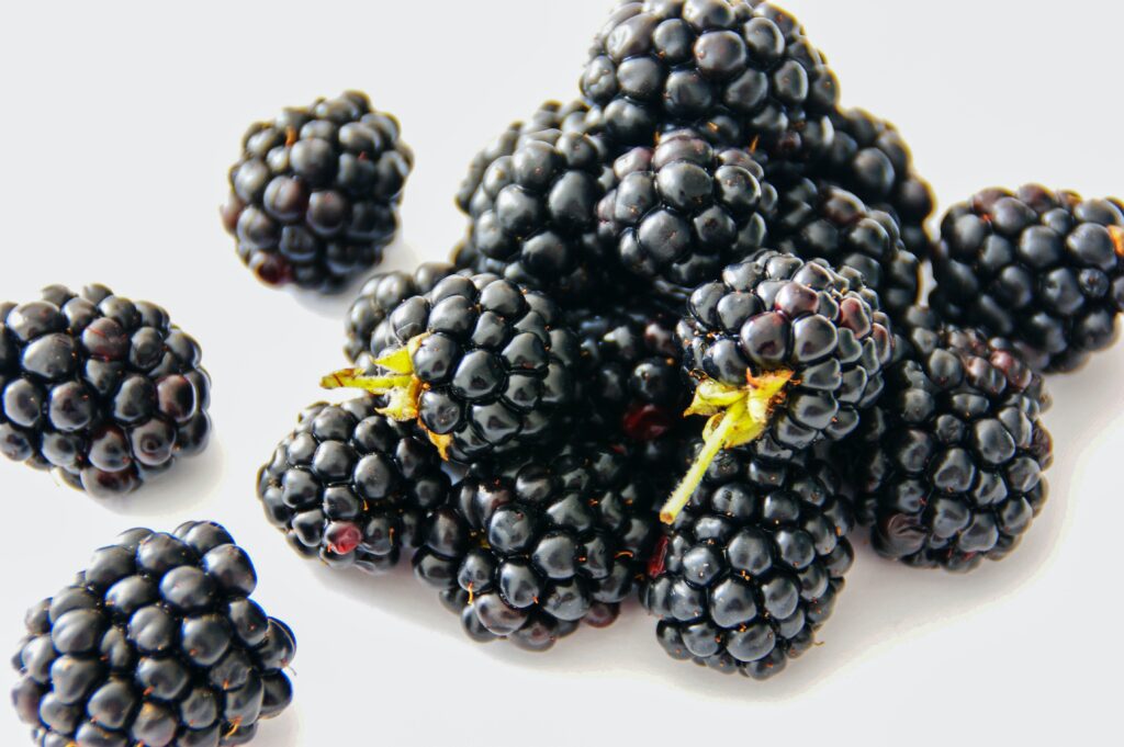 can cats eat blackberries