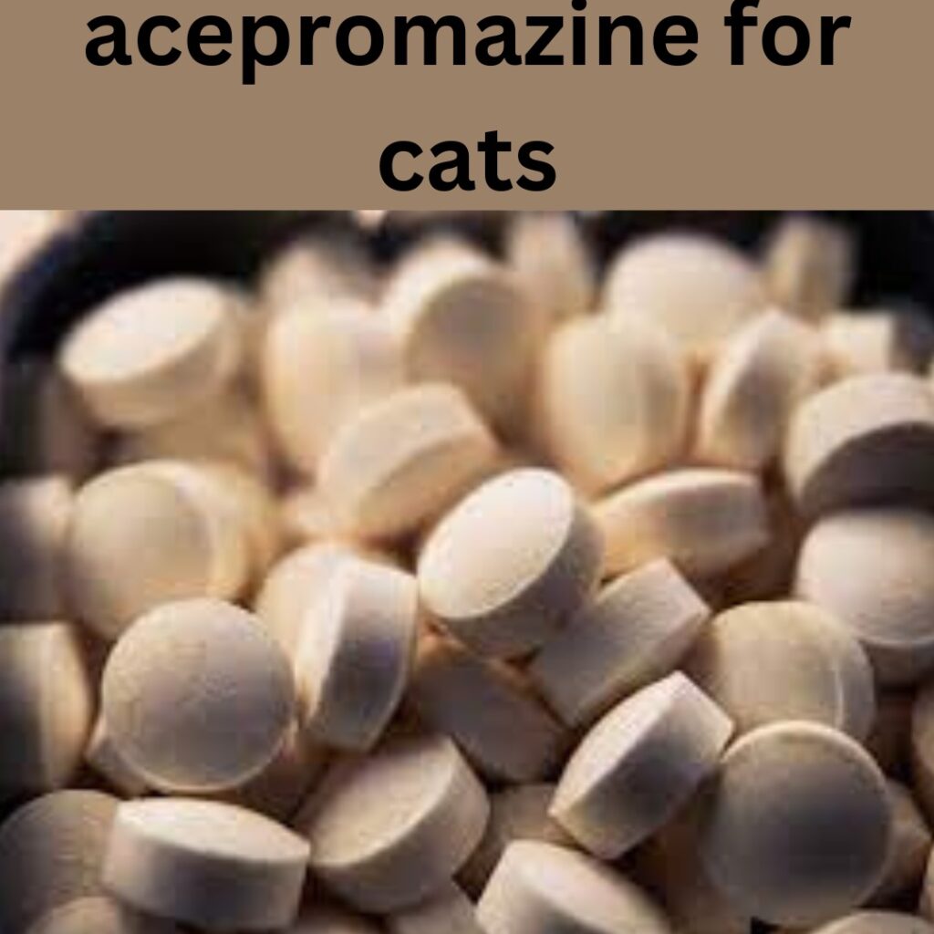 acepromazine for cats