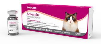 Solensia for Cats