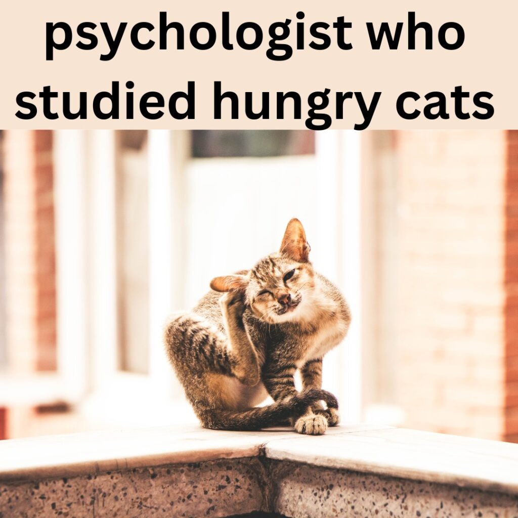 Dr. John Smith: psychologist who studied hungry cats