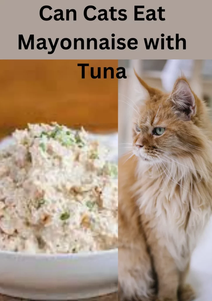 Can Cats Eat Mayonnaise with Tuna