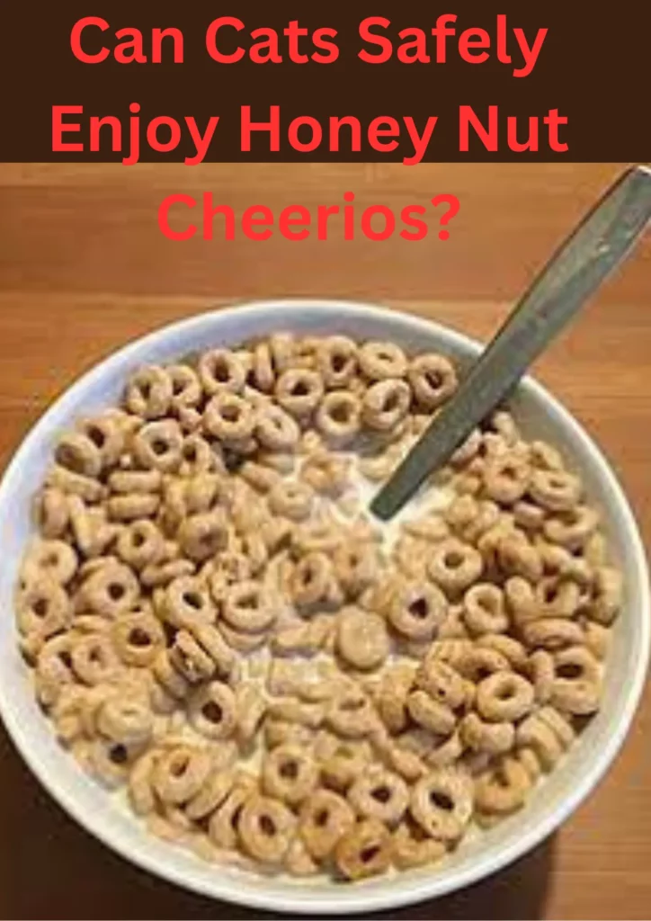 Can Cats Safely Enjoy Honey Nut Cheerios