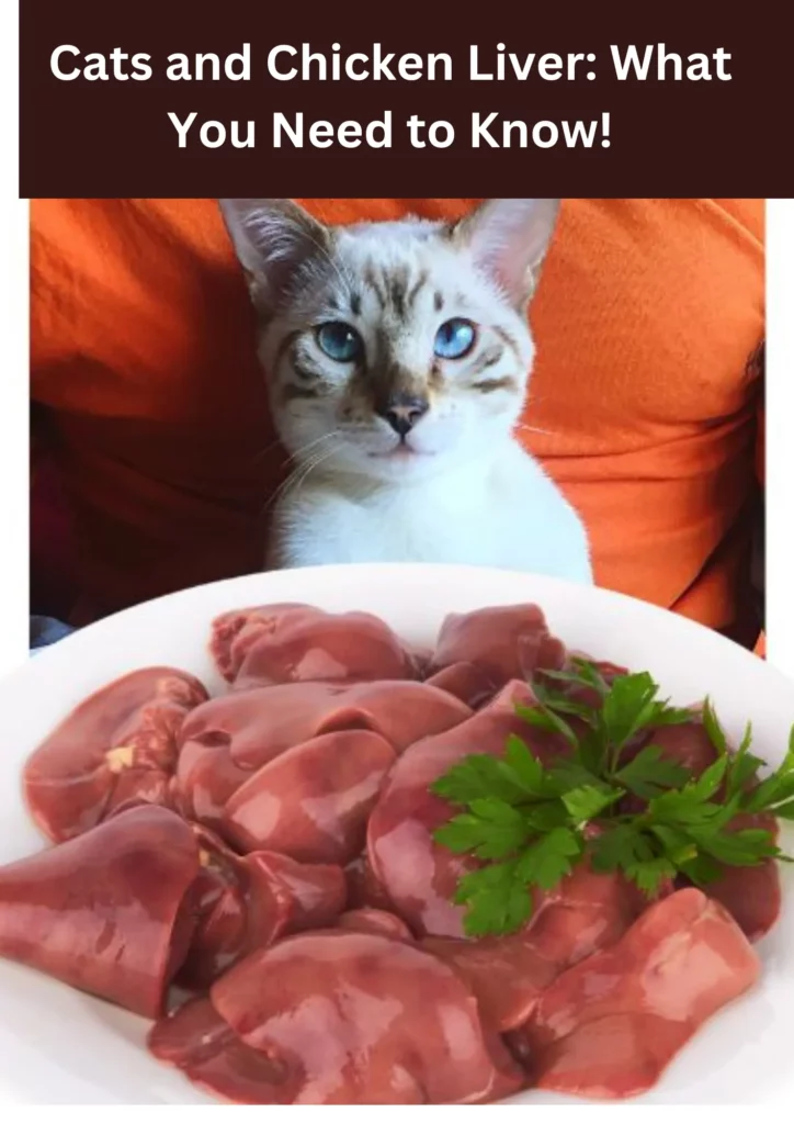 Cats and Chicken Liver
