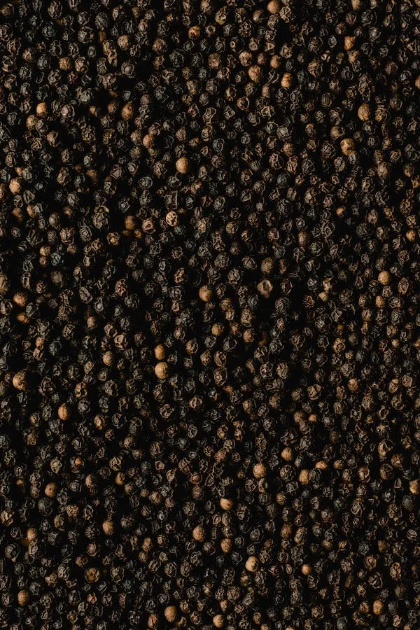 Can Cats Eat Black Pepper