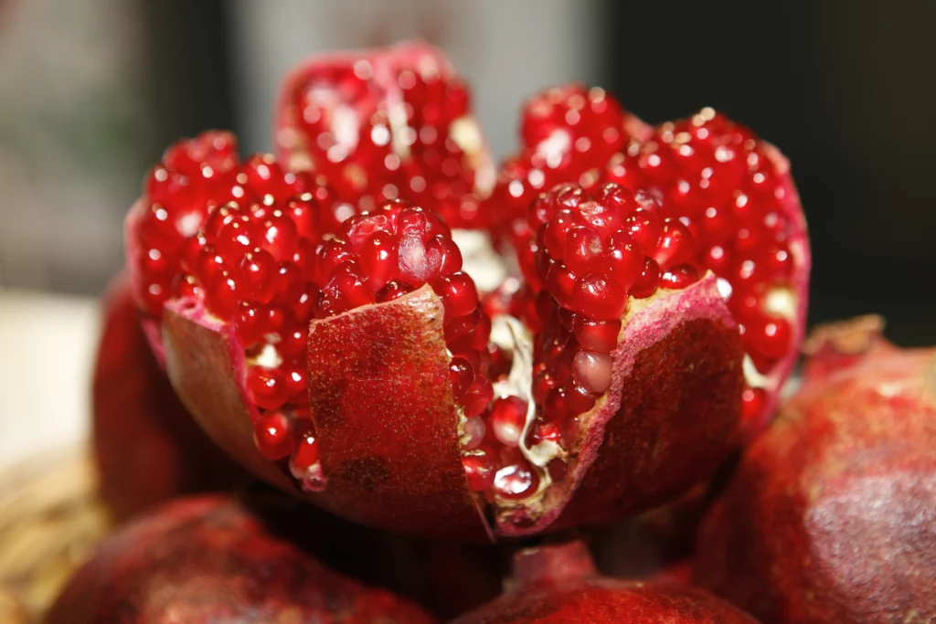 Are Pomegranates Toxic to Cats
