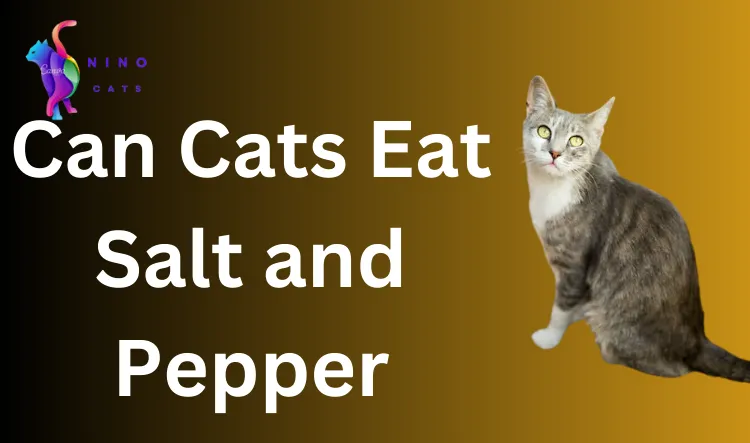 Can Cats Eat Salt and Pepper