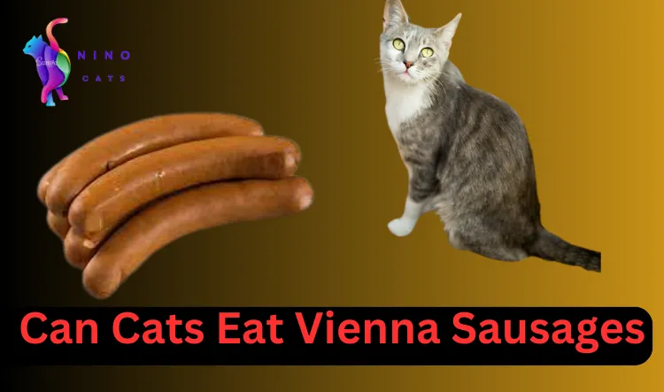 Can Cats Eat Vienna Sausages