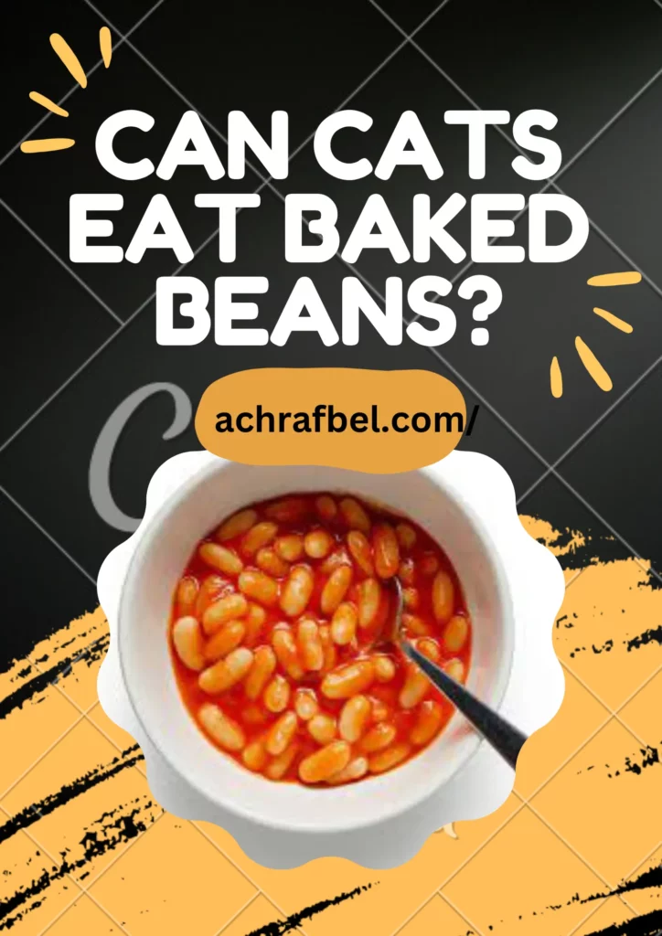 Can Cats Eat Baked Beans