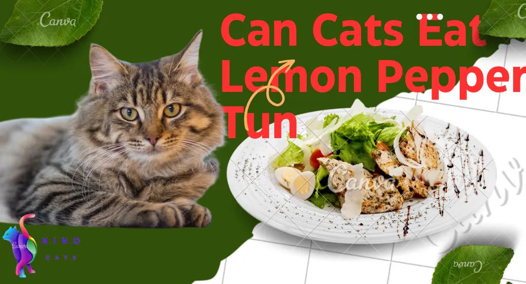 can cats eat lemon pepper tuna