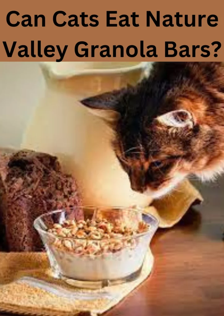 Can Cats Eat Nature Valley Granola Bars