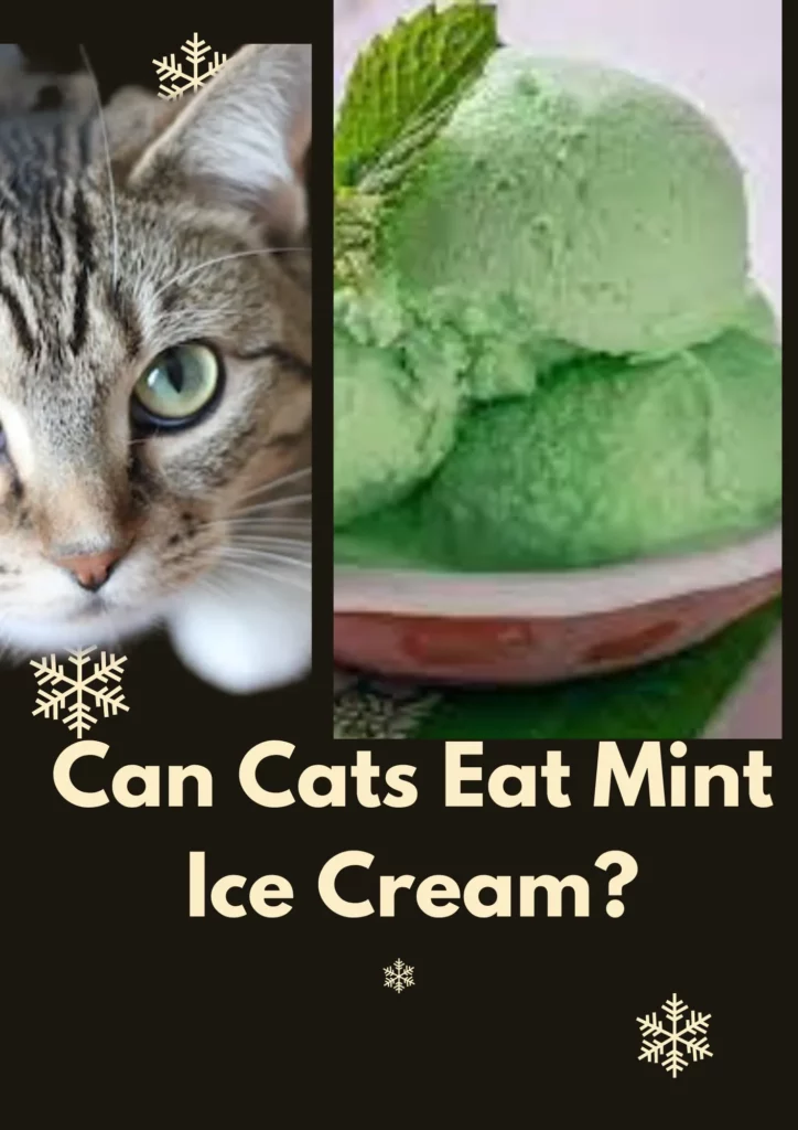 Can Cats Eat Mint Ice Cream