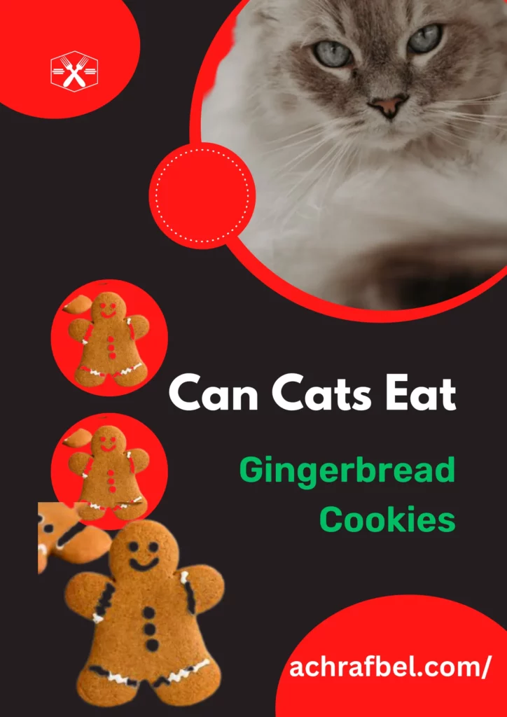 Can Cats Eat Gingerbread Cookies