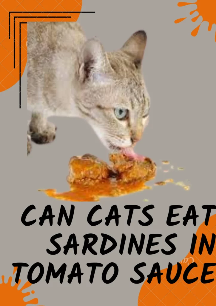 can cats eat sardines in tomato sauce