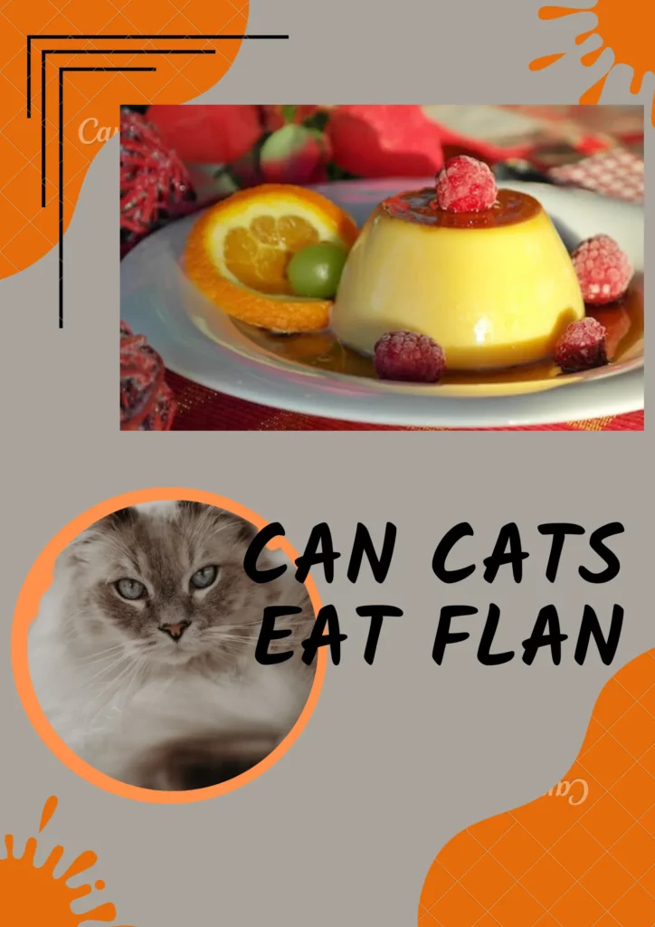 Can cats eat flan