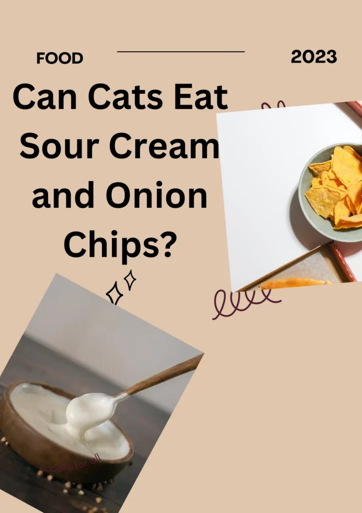 Can Cats Eat Sour Cream and Onion Chips?