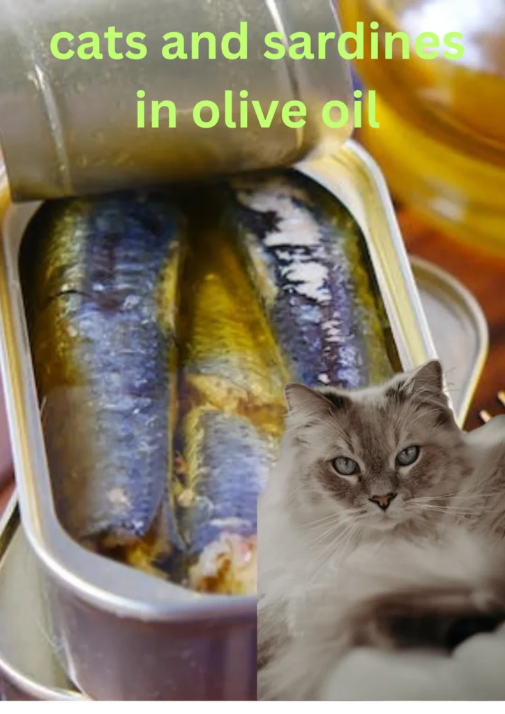 cats and sardines in olive oil