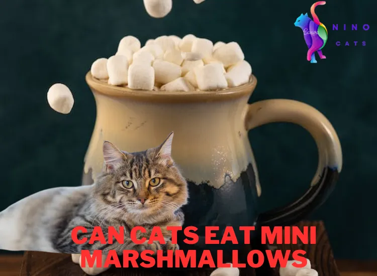 can cats eat mini marshmallows