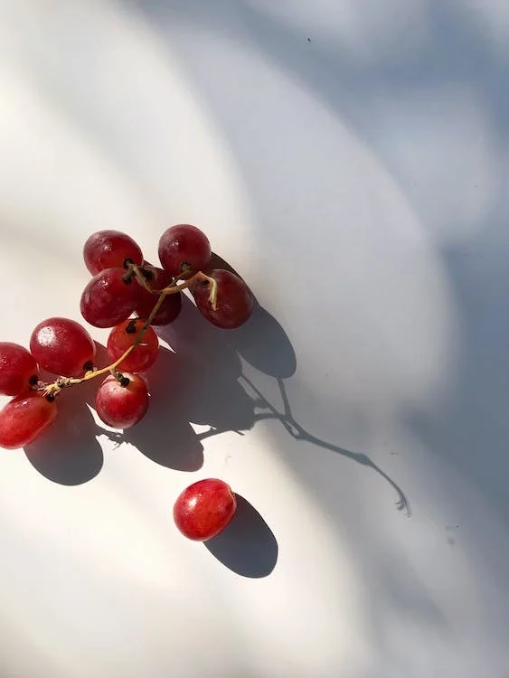 Can Cats Eat Grape Stems