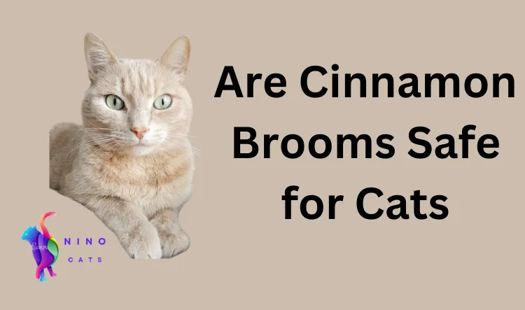 Are cinnamon brooms safe for cats