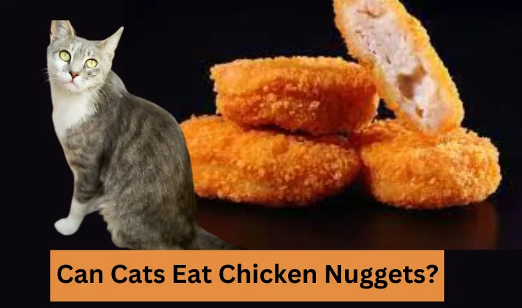 Can Cats Eat Chicken Nuggets
