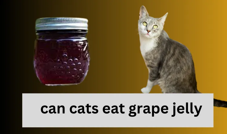 can cats eat grape jelly