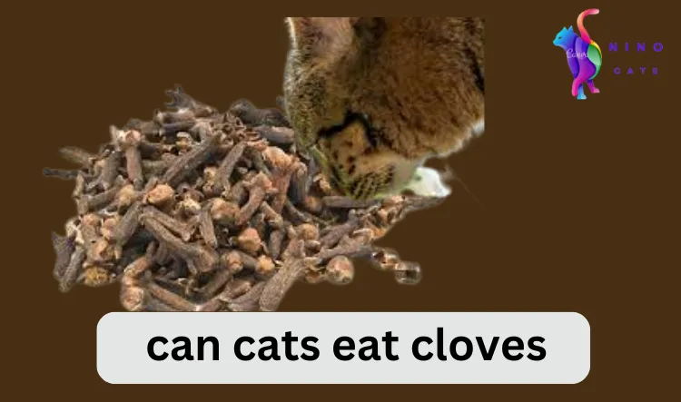 can cats eat cloves