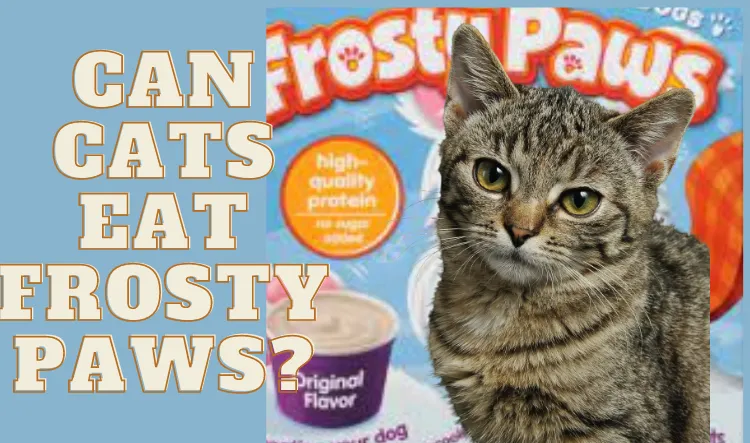 Can Cats Eat Frosty Paws