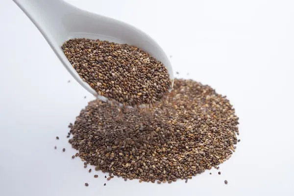 Can Cats Eat Chia Seeds