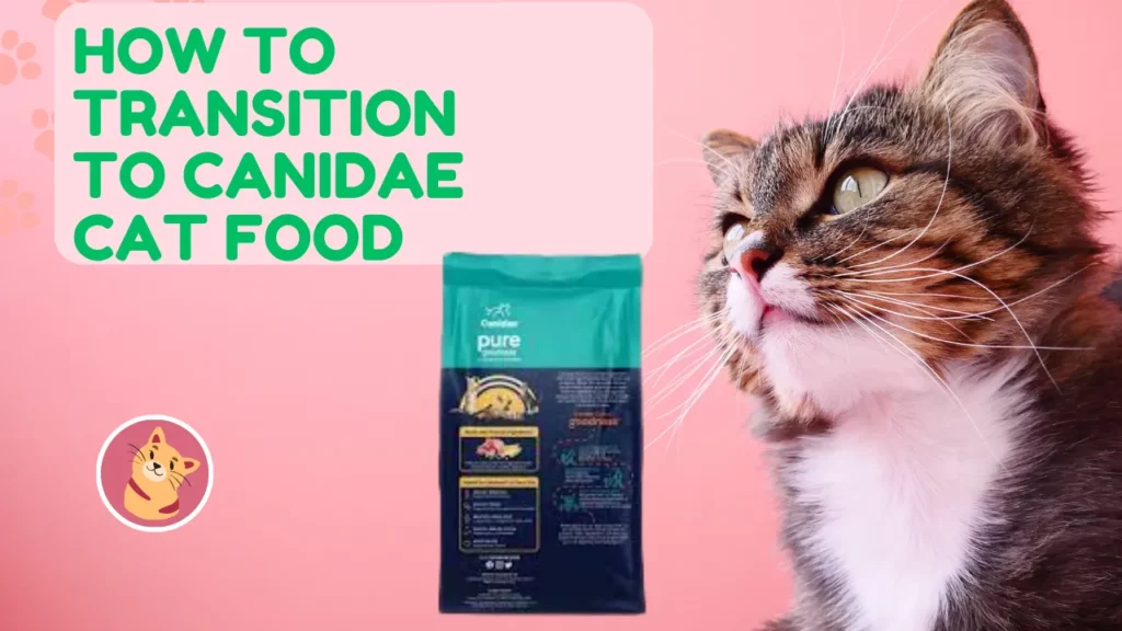 is canidae cat food good