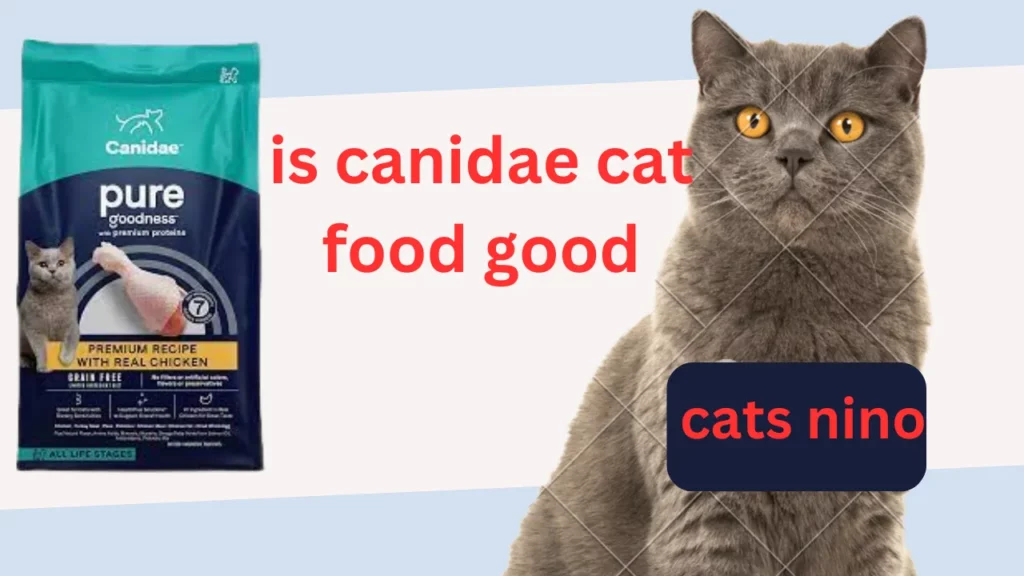 is canidae cat food good