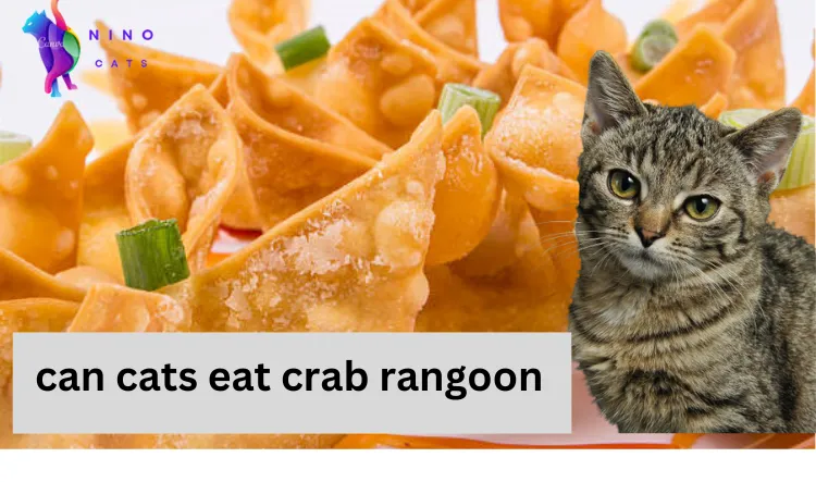 can cats eat crab rangoon