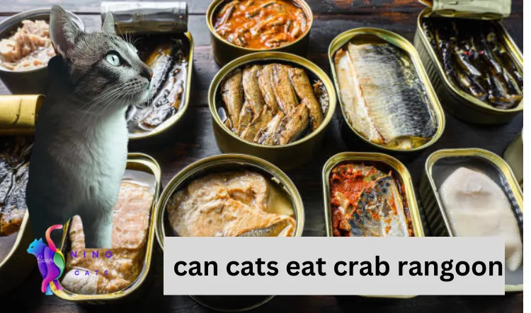can cats eat canned crab meat
