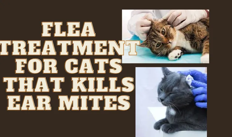flea treatment for cats that kills ear mites