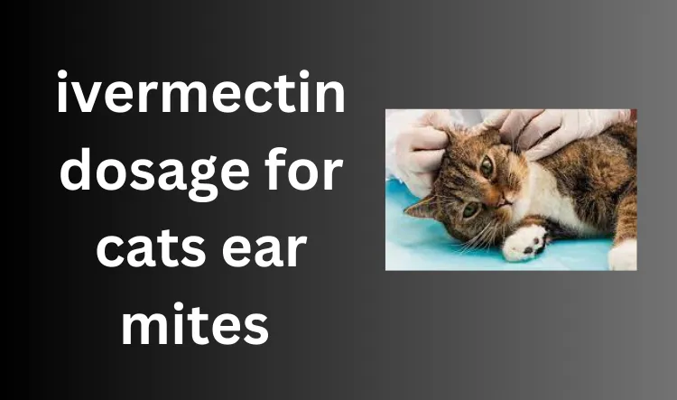 ivermectin dosage for cats ear mites 