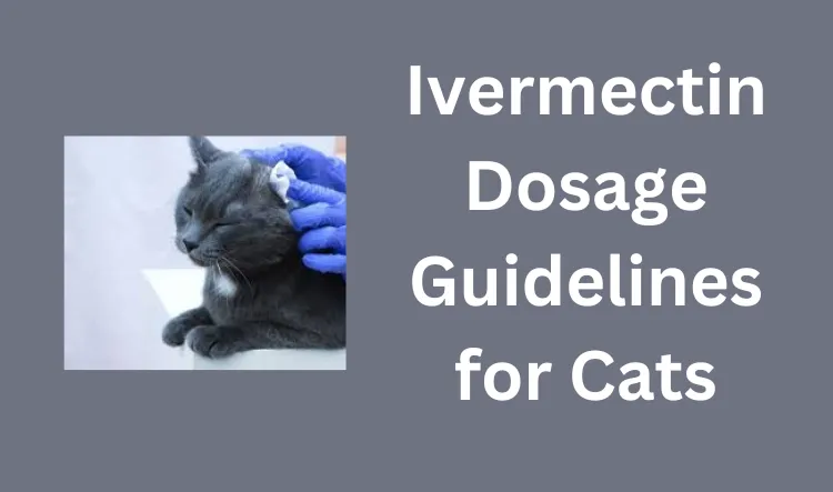 ivermectin dosage for cats ear mites