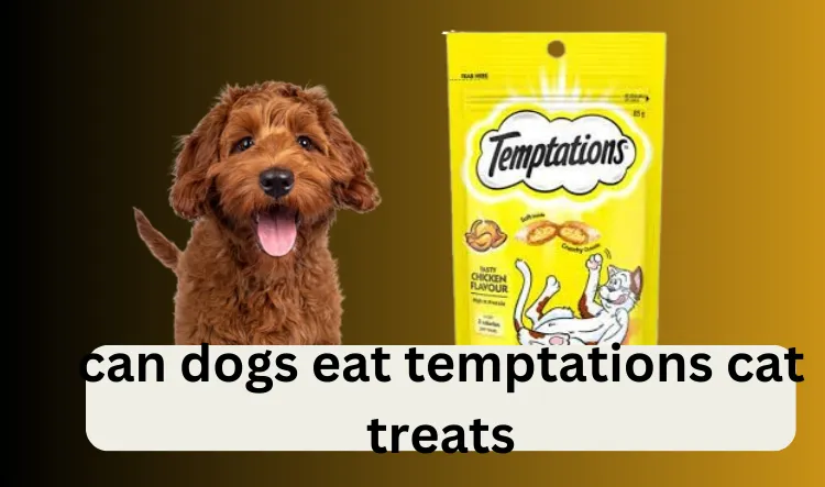 can dogs eat temptations cat treats