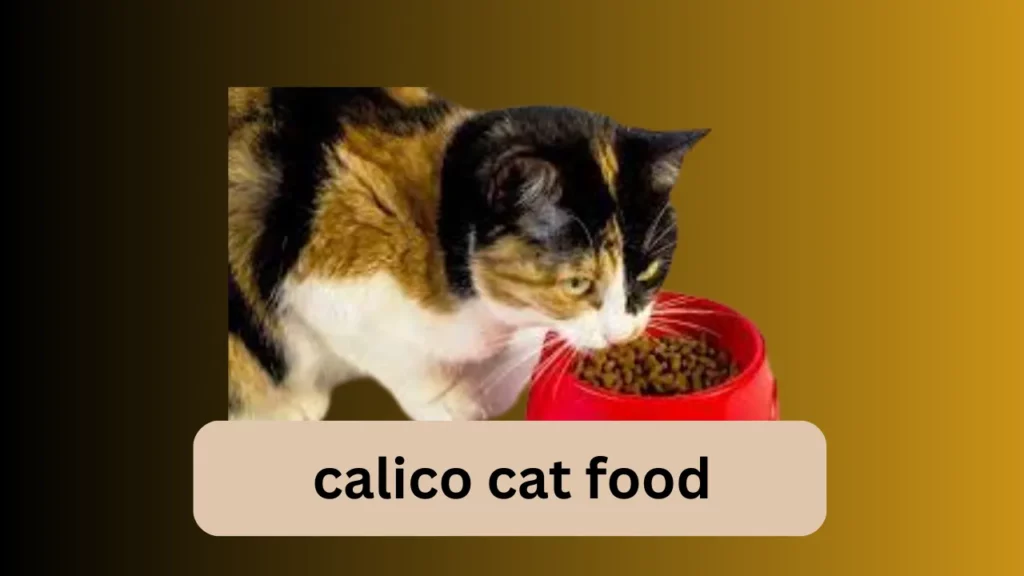 calico cat food
