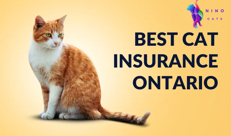 best cat insurance ontario