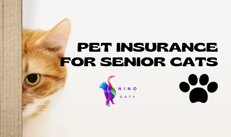 pet insurance for senior cats