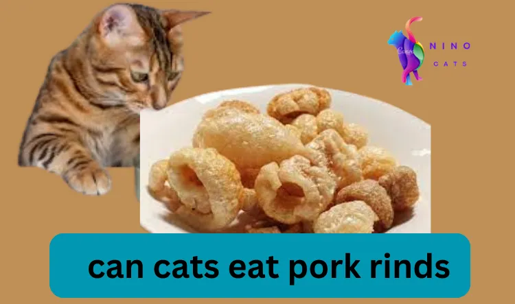 can cats eat pork rinds