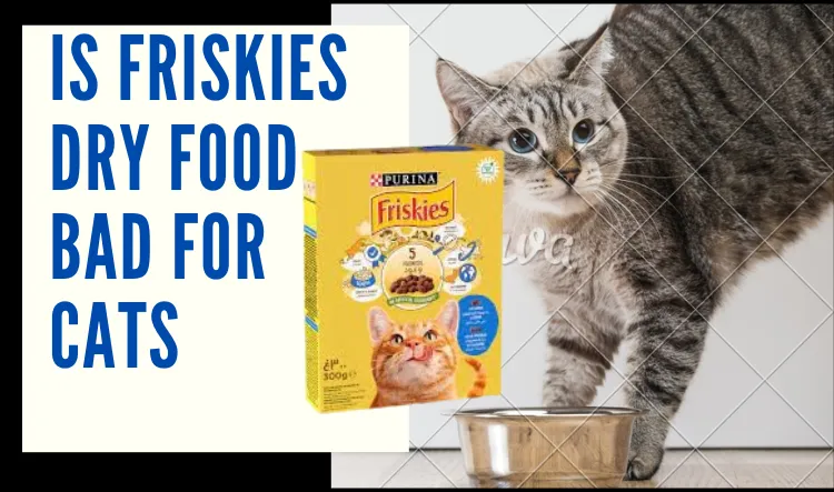 is friskies dry food bad for cats