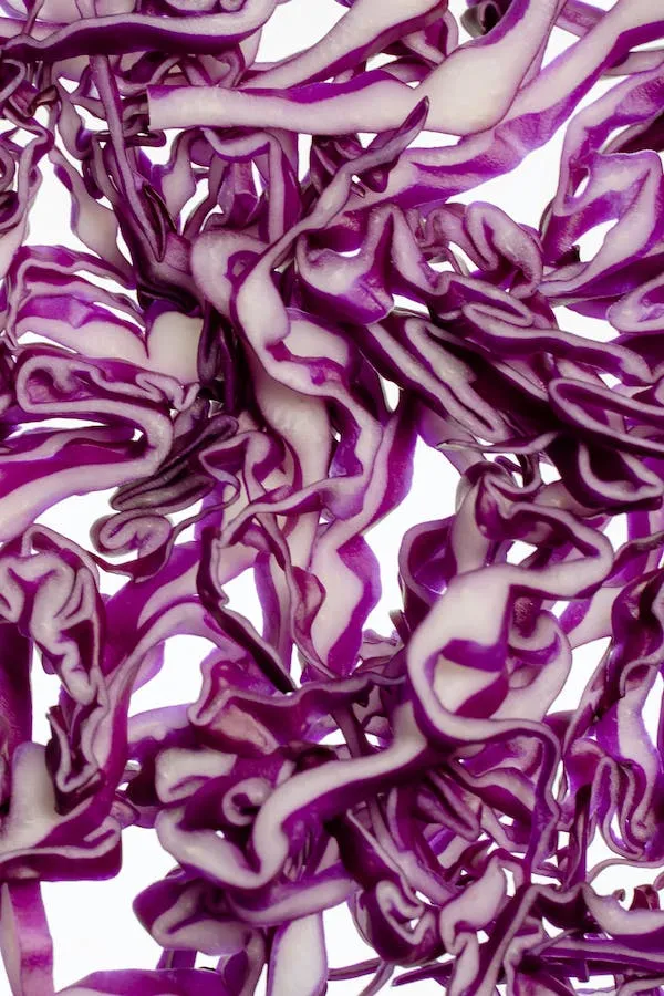 Can cats eat red cabbage