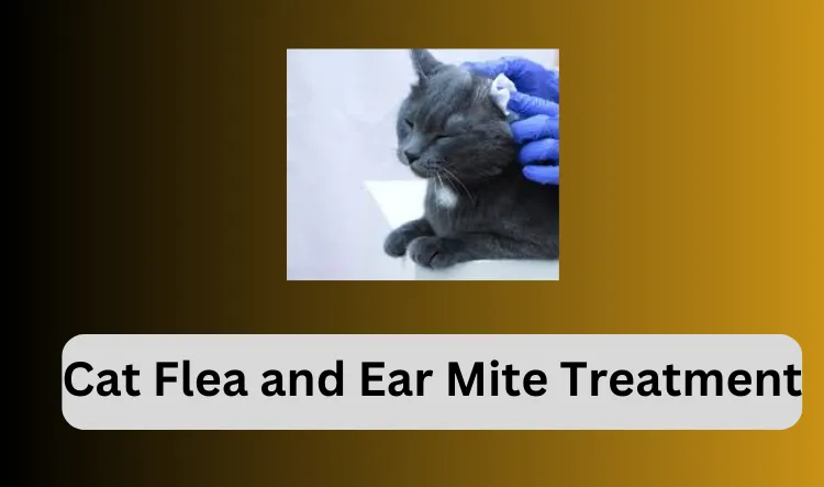 cat flea and ear mite treatment