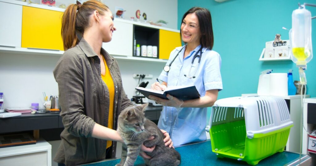 The Comprehensive Guide to Pet Insurance for Cats