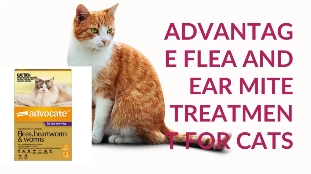 advantage flea and ear mite treatment for cats