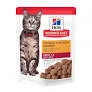 best cat food for Persian cats